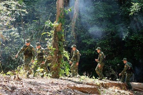 Quảng Nam siết chặt công tác tuần tra, kiểm soát tuyến biên giới
