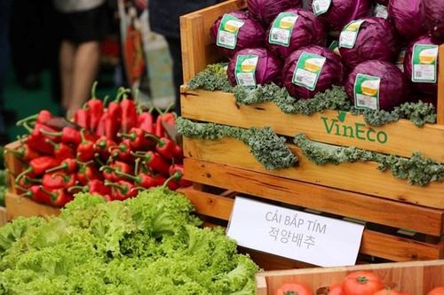 Dịch COVID-19: Hà Nội không có tình trạng khan hàng, thổi giá