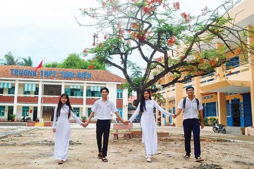 Thương mùa phượng vĩ!