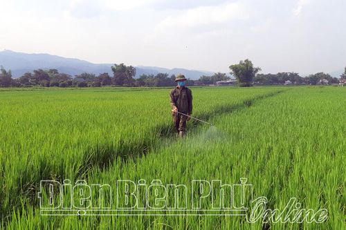 Tiên phong dồn điền, đổi thửa