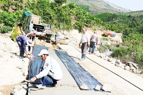 Hội Người cao tuổi xã Suối Cát: Nhiều hoạt động thiết thực