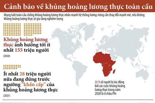 Infographic: Nguy cơ xảy ra khủng hoảng lương thực toàn cầu