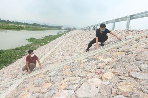 Khoảng 43,65 tỷ đồng khắc phục sự cố hai tuyến kè ở huyện Ba Vì và Phú Xuyên
