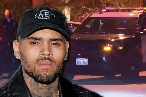 Chris Brown bị chỉ trích khi mời gần 500 khách dự sinh nhật