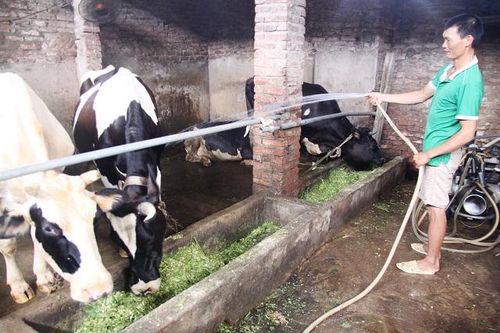 Lo ngại ô nhiễm từ điểm xả thải không phép