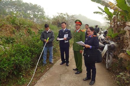 Nâng cao hiệu quả công tác thẩm định, đấu giá tài sản thi hành án