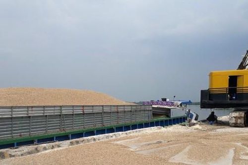 Tái sinh cho chất thải