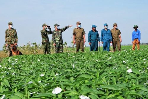 Tổng lực ngăn dịch từ biên cương