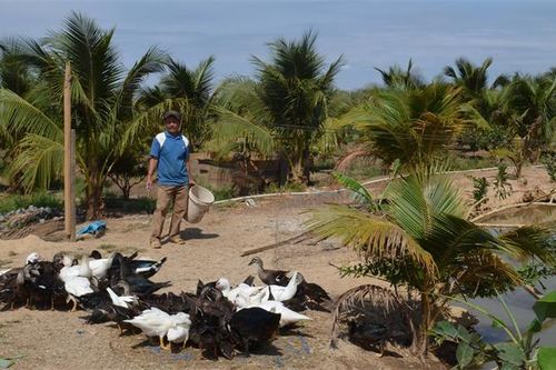 Lão nông làm kinh tế giỏi tại vùng biên Ia Rvê