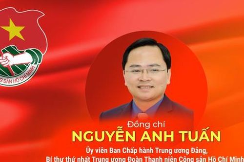 Ứng cử viên Đại biểu Quốc hội khóa XV Nguyễn Anh Tuấn