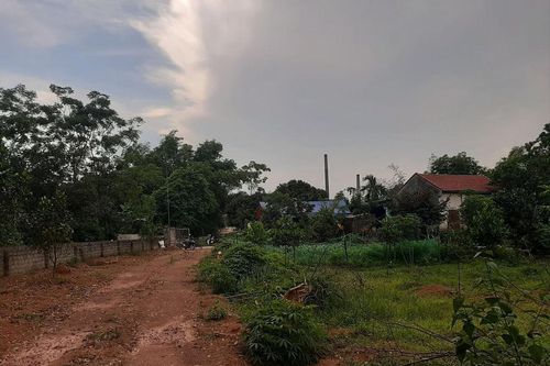 Dùng súng tự chế bắn chú tử vong, anh họ trọng thương