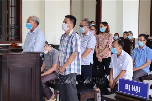 Cấp trùng 'sổ đỏ', nhiều cán bộ tại huyện Bù Gia Mập lĩnh án tù