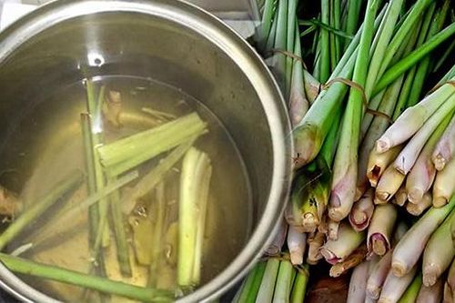 Dùng củ sả đun lên uống mỗi ngày: Vừa thải độc gan thận, vừa dưỡng da, giảm cân thần tốc