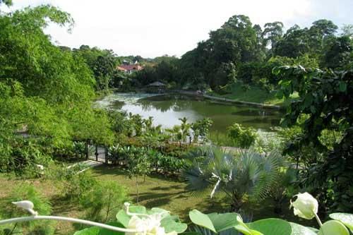 Vườn Bách thảo - Di sản thế giới đầu tiên của Singapore