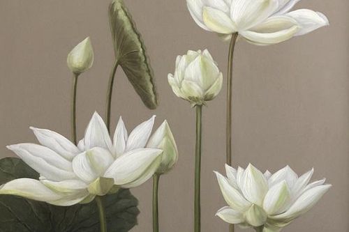 Dành tặng 108 bức tranh sen của các họa sĩ nổi tiếng Việt Nam cho tăng ni, phật tử