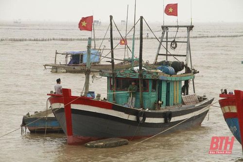 Góp phần giảm thiểu thiệt hại cho ngư dân trong mùa mưa bão