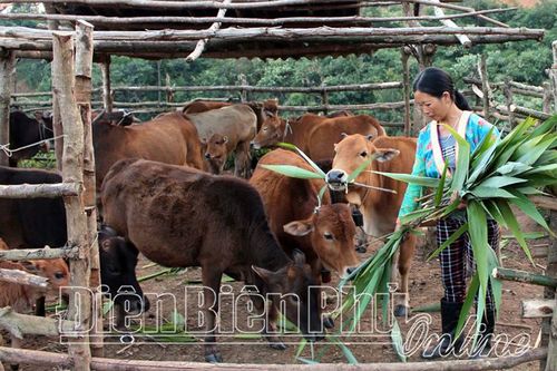 Hướng đi hiệu quả trong xóa đói giảm nghèo (bài 2)