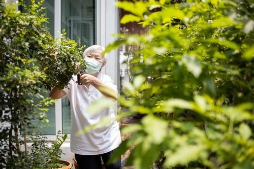 Người cao tuổi trong dịch COVID-19 cần ăn uống như thế nào?