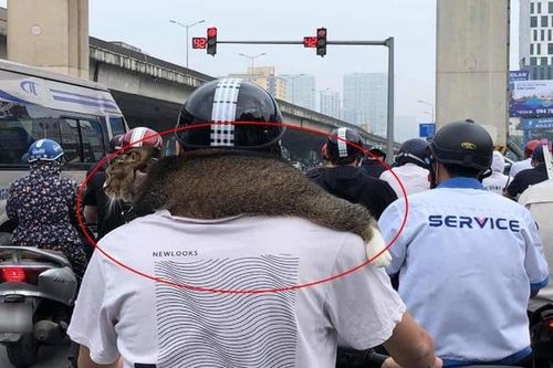 'Chiếc khăn lông' chạy bằng cơm và cá ra đường, netizen phấn khích