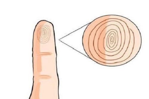Nhìn ngón út biết tương lai giàu sang, phú quý hay lận đận cả đời