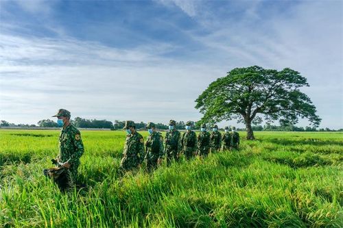 Nâng cao chất lượng học tập, quán triệt, triển khai thực hiện nghị quyết của Đảng trong BĐBP
