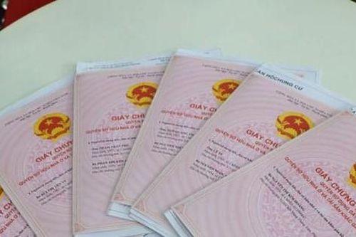 Bình Phước: Hàng lãnh đạo, cán bộ huyện lĩnh án vì cấp 8 'sổ đỏ' trùng cho kẻ lừa đảo