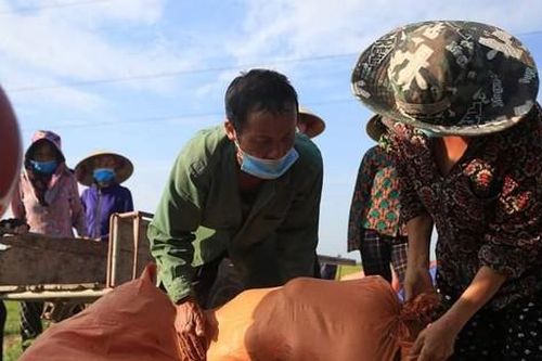 'Giải cứu' hàng chục tấn dưa cho người dân bị phong tỏa do dịch
