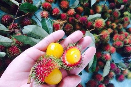 COVID-19: Hà Nội không khan hàng sốt giá, chôm chôm ruột vàng như trứng muối hút khách