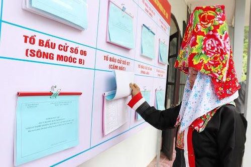 Người dân tộc thiểu số ứng cử được quy định như thế nào?