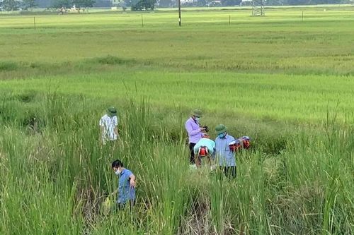 Điều tra vụ việc mẹ ôm con đã tử vong nằm trên đường tàu tự tử