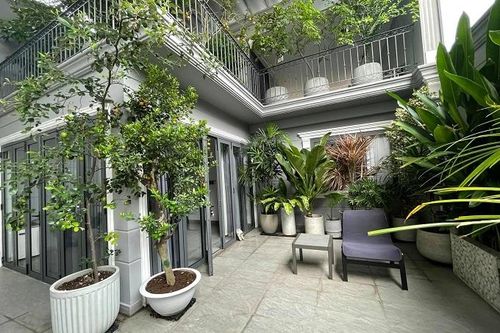 Nhà phố với giàn cây thẳng đứng, hoa trái quanh năm rực rỡ