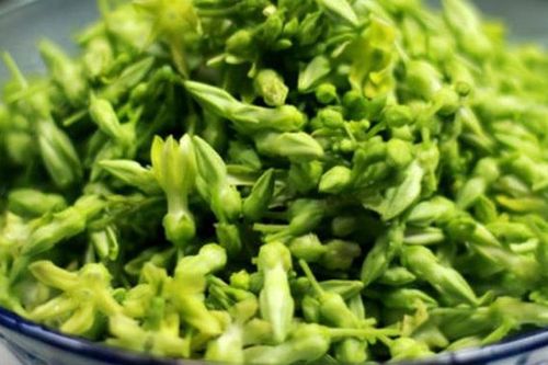 7 tác dụng của hoa thiên lý đối với sức khỏe con người