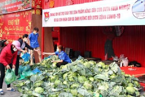 Nguy cơ tắc nghẽn nông sản do ảnh hưởng của dịch Covid-19