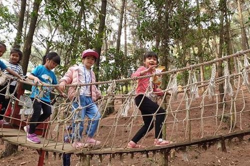 Hà Nội: Không tổ chức các hoạt động tham quan, ngoại khóa, trải nghiệm sáng tạo cho học sinh