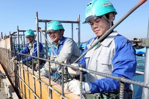 Kỳ 2: Câu chuyện từ thị trường Nhật Bản