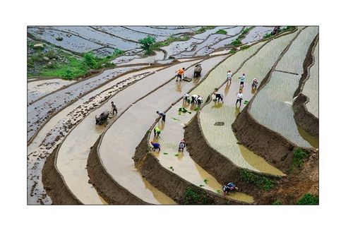 Vẻ đẹp ruộng bậc thang Tây Bắc mùa nước đổ