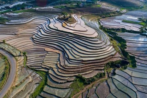 Lấp lánh mùa nước đổ