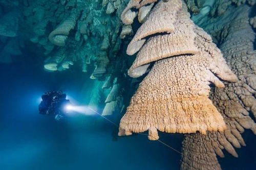 Khám phá hang thạch nhũ hình chuông 'siêu độc' ở Mexico