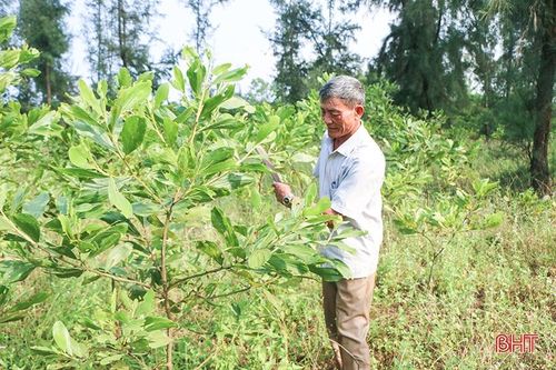 Cho những cánh rừng thêm xanh!
