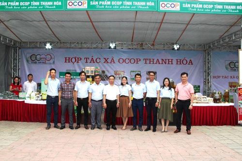 Thành lập Hợp tác xã OCOP Thanh Hóa