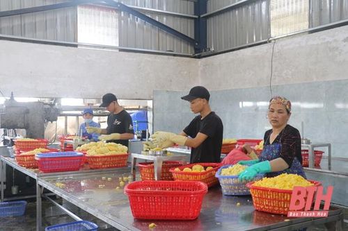 Xuất khẩu trực tuyến - hướng đi hiệu quả