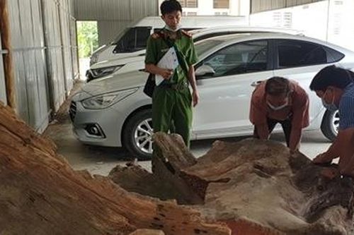 Hơn 1 tấn gỗ hương huyết giấu trong xe thùng lạnh