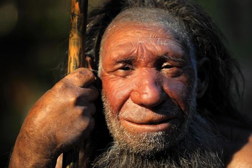 Phát hiện hài cốt của 9 người Neanderthal trong hang