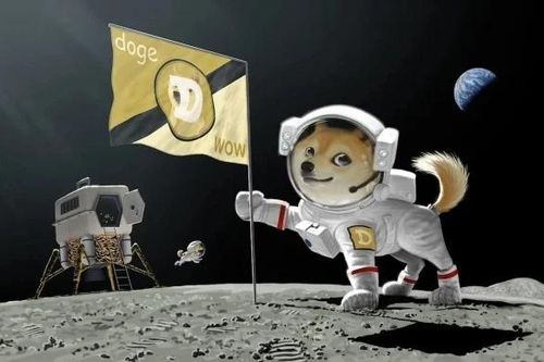SpaceX chấp nhận thanh toán bằng Dogecoin để giao hàng vũ trụ