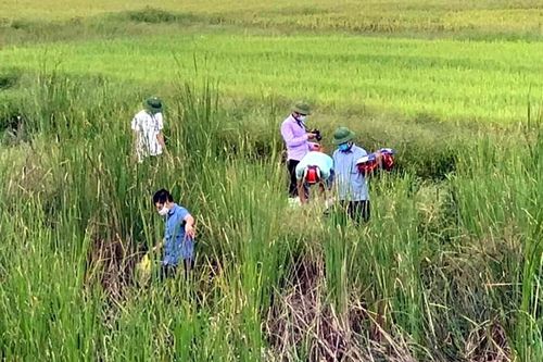 Nghi án mẹ sát hại con nhỏ rồi ôm ra đường tàu định tự tử