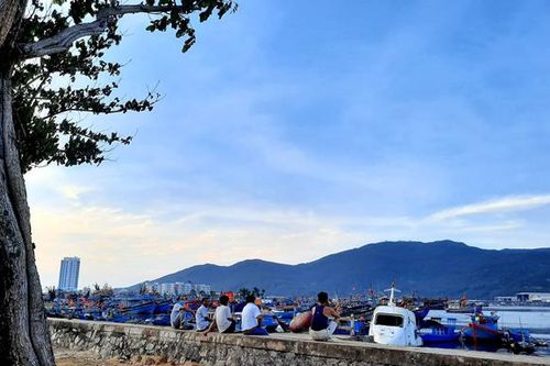 'Chuyện lạ' tại âu thuyền và cảng cá Thọ Quang