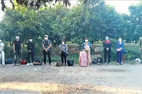 Cách ly tập trung các trường hợp nhập cảnh trái phép tại Quảng Ninh, An Giang