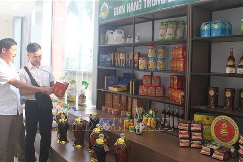 Hỗ trợ và thưởng đến 100 triệu đồng cho sản phẩm đạt OCOP