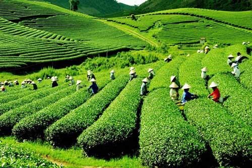 Lai Châu - điểm khám phá lý tưởng trên hành trình Tây Bắc