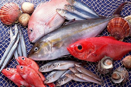 Gợi ý cách chọn và bảo quản cá tươi ngon đúng cách